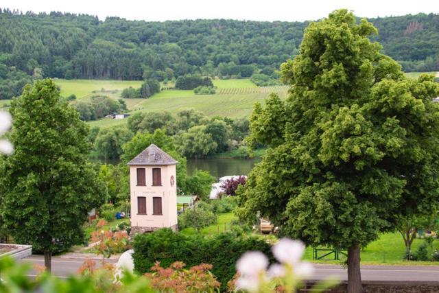 Kinheim Wein Und Gastehaus Marlene Pohl酒店 外观 照片